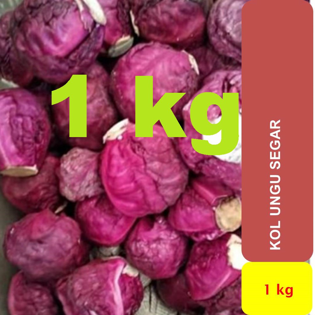 

Kol Kubis Ungu Segar 1 kg
