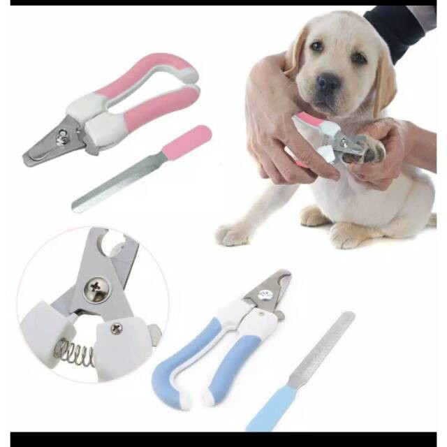 Gunting kuku anjing kucing Gunting kikir pet nail clipper + full set m