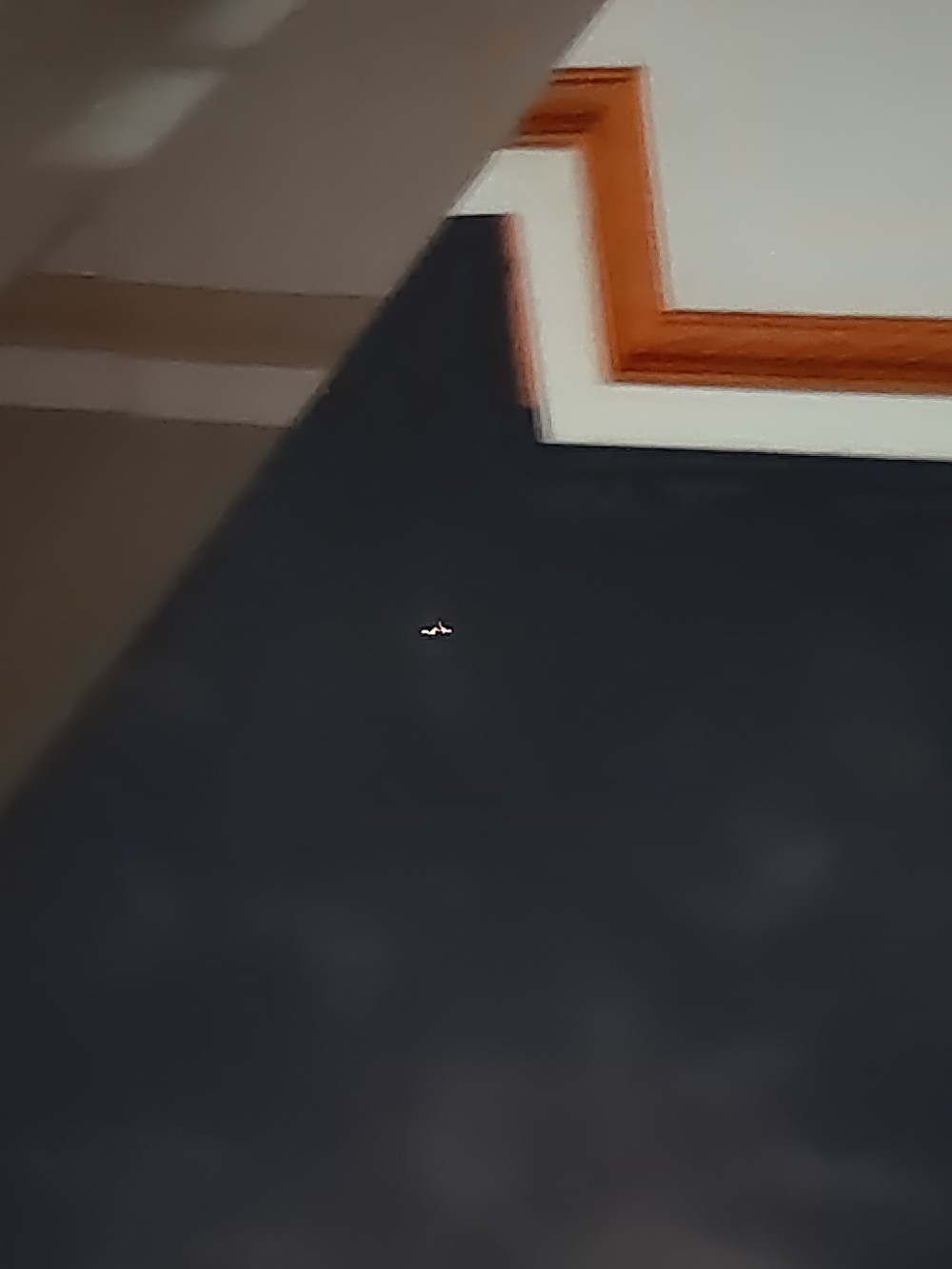 Pjawa Lem Tikus Ultra Super Perangkap Tangkap Jebakan