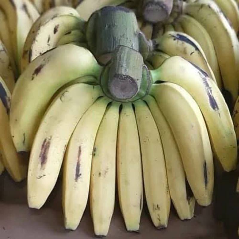 

pisang ambon _ 1 sisir