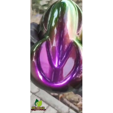 cat bunglon chameleon Nitron 250ml sikken motor mobil 3-4-5 warna ungu merah kuning  hijau TOP Grade