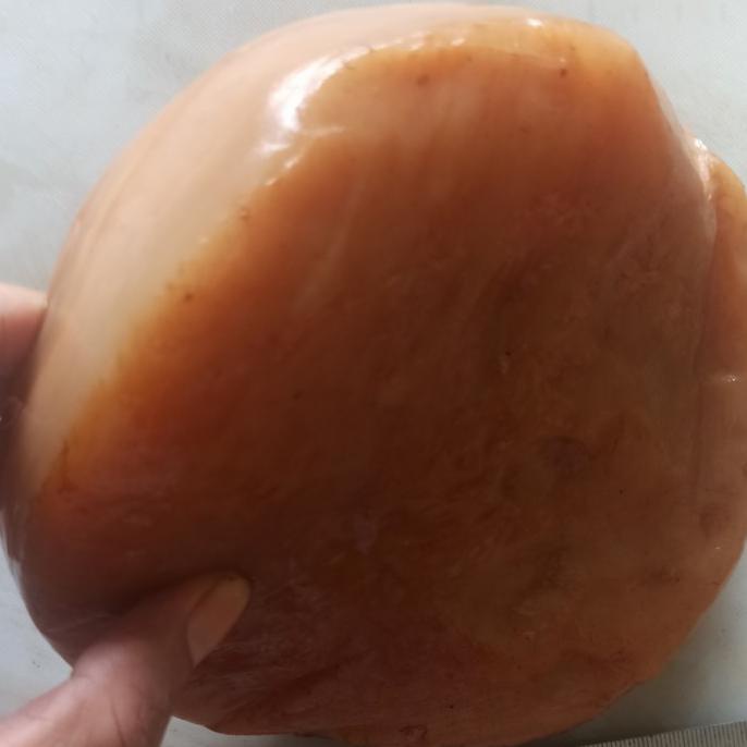 

[[BISA COD]] Bibit jamur kombucha scoby fermentasi teh dimensi besar PROMO Kode 761