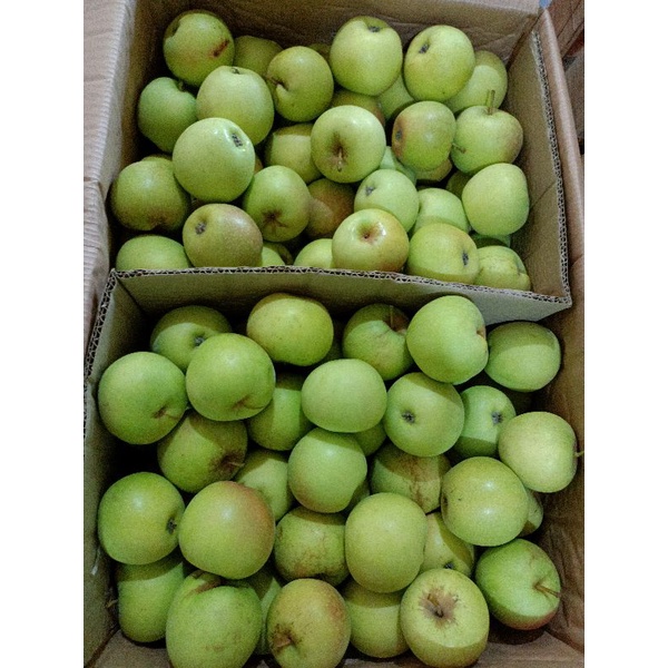 

APEL MANALAGI 1 KG