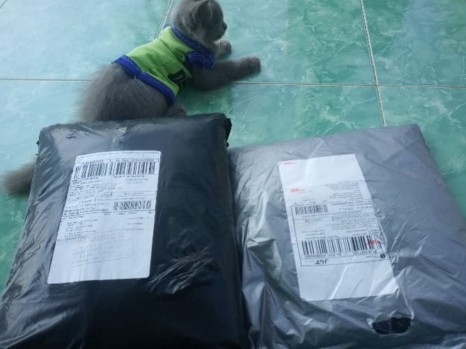 Bswart Batik Hrb026 Kenongo Hem Pendek Padi Pekalongan M L Xl Batik Pria Murah Modern Grosir