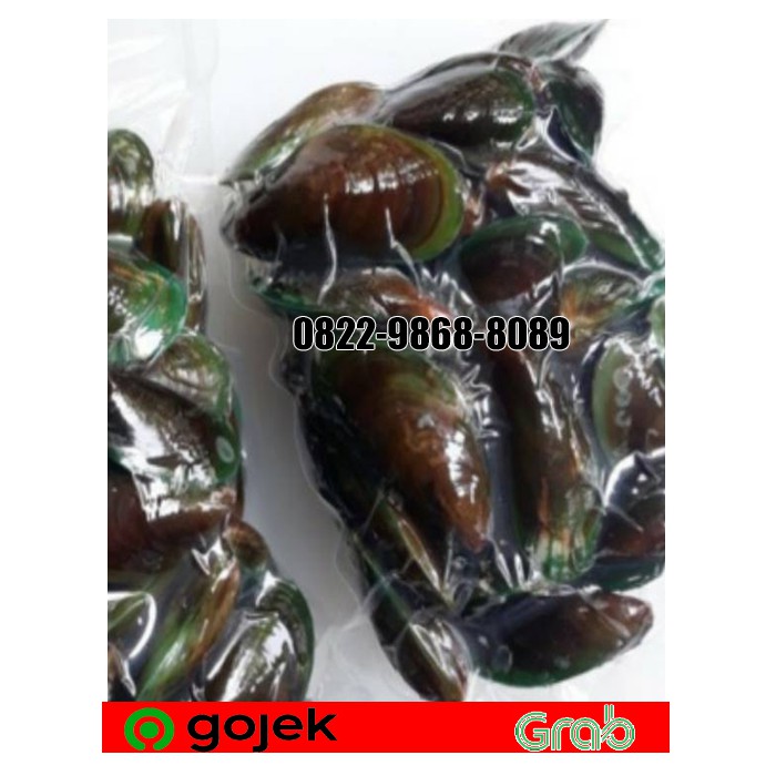 

PROMO KERANG IJO SEGAR 1 KG/KERANG HIJAU SEGAR/KERANG SEGAR