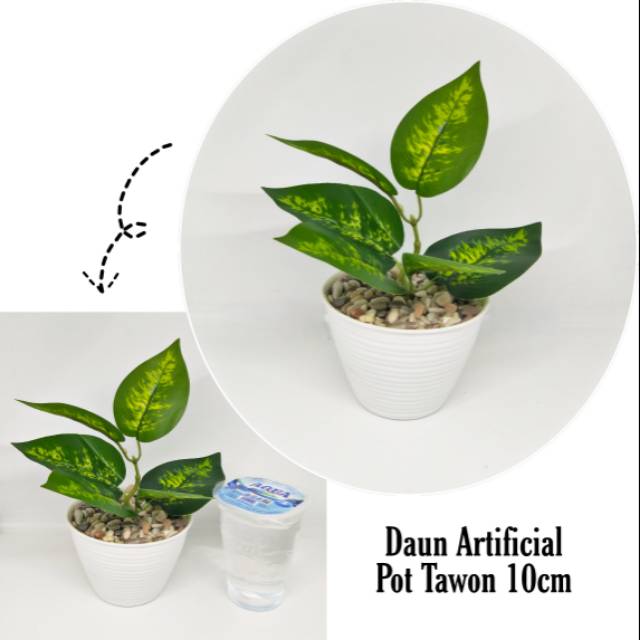 Daun plastik sri rejeki mini pot tawon 10 batu Shopee Daun plastik sri rejeki mini pot tawon 10 batu Shopee