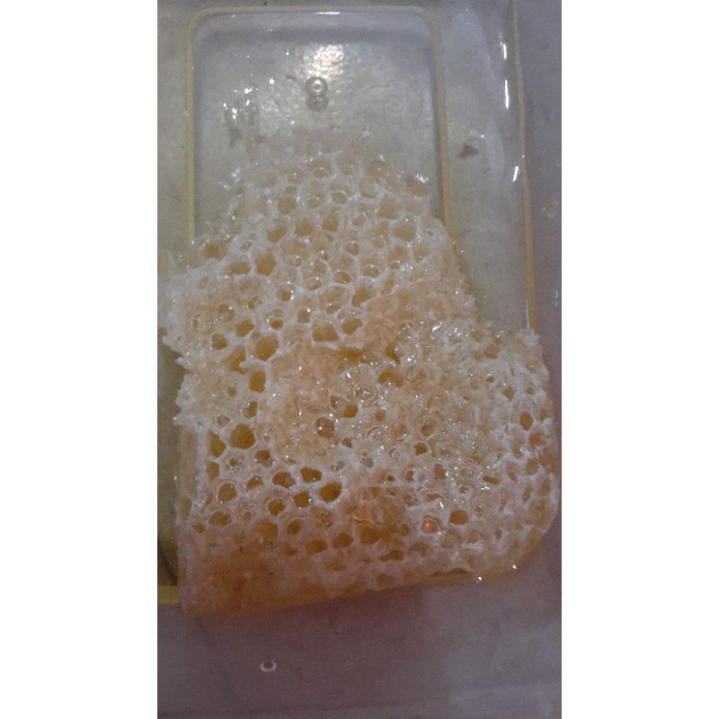 

sarang madu/honey comb asli dari peternakan nya langsung
