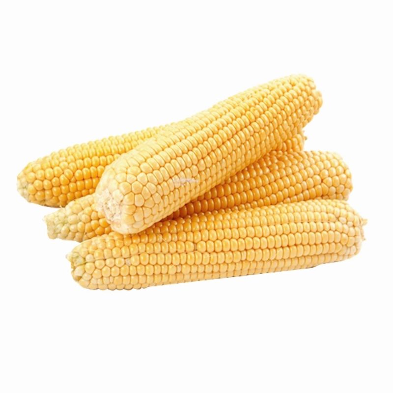 

Jagung Manis Kupas 1 kg