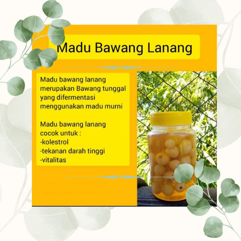 Madu bawang tunggal madu murni bawang lanang