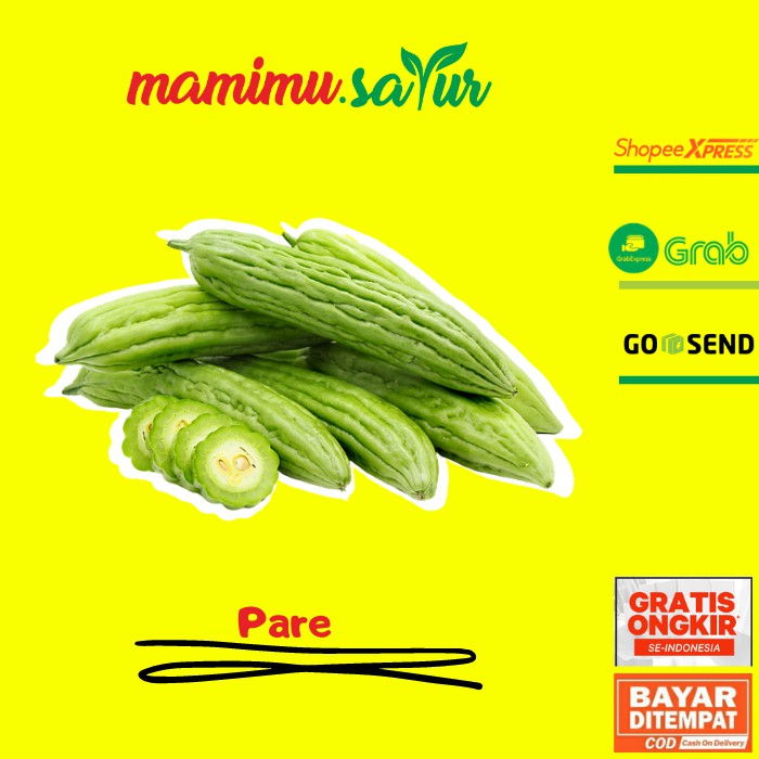 

SAYUR PARE SAYUR SAYURAN SEGAR PARE HIJAU PARIA PARE SAYUR PARE SEGAR SAYUR SAYURAN SEGAR