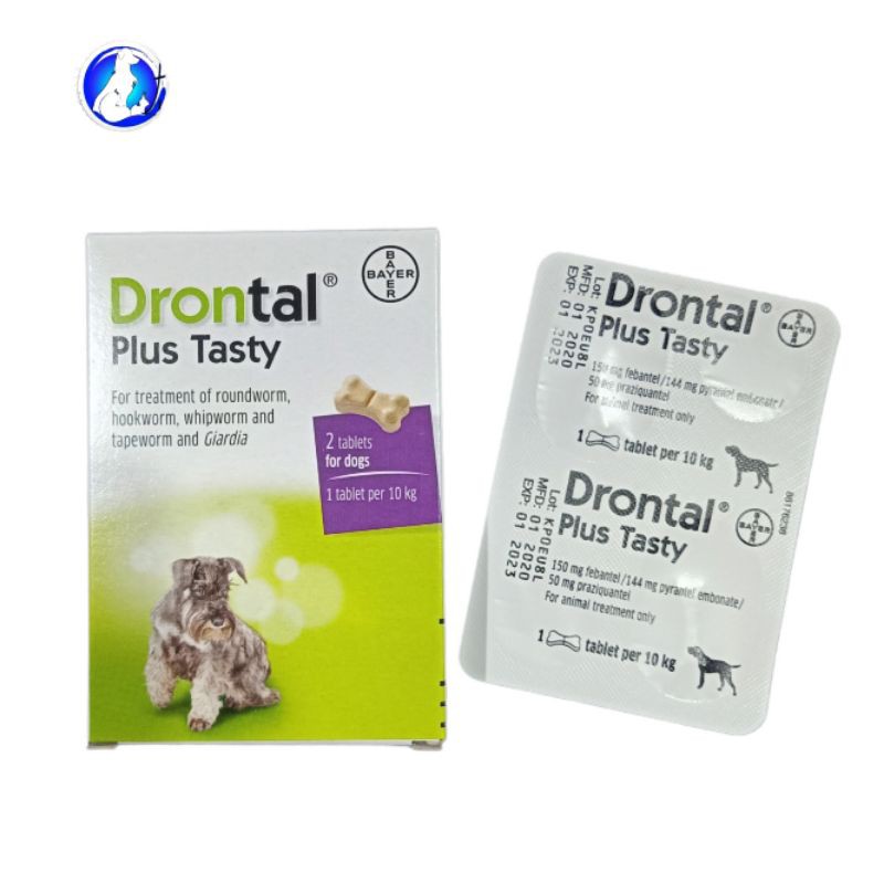 Jual Bayer Drontal Dog Plus Tasty Obat Cacing Anjing Indonesia Shopee Indonesia