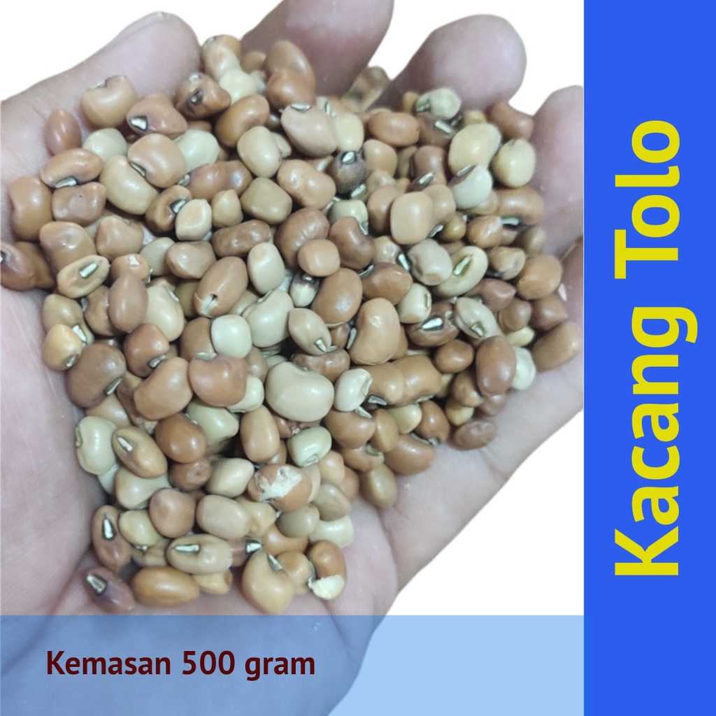 

Kacang Tolo / Kacang Otok / Kacang Tunggak / Kacang Krecek Bersih Bening Kemasan 500 gr
