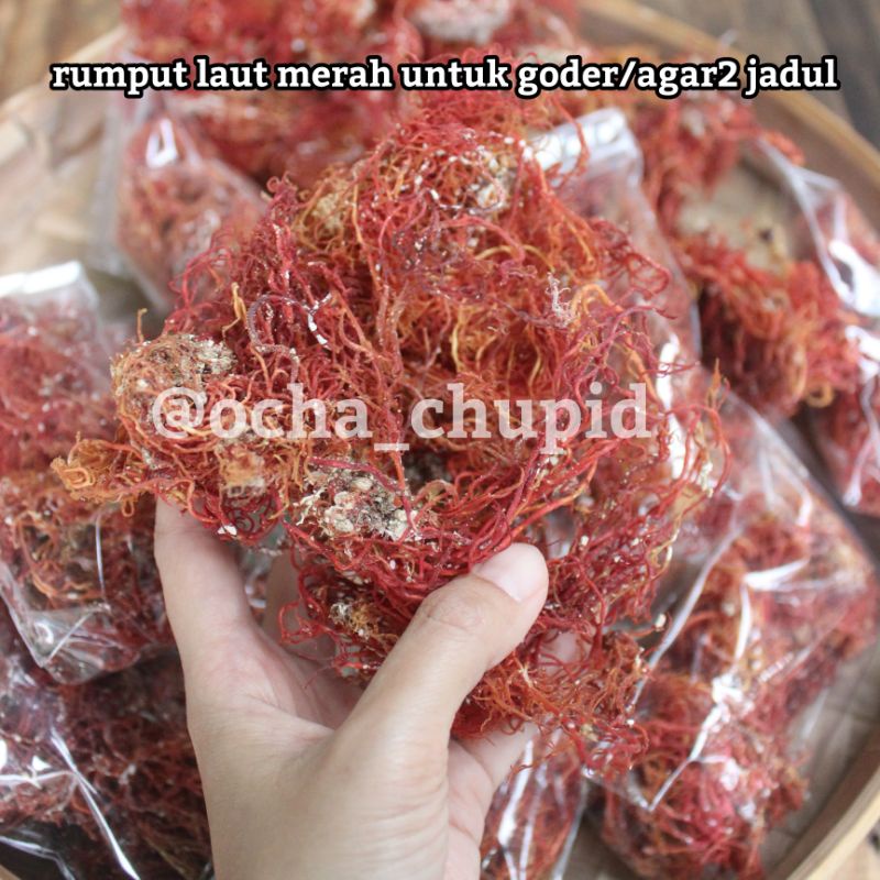 

Rumput Laut Merah kering bahan untuk goder/agar2 jadul