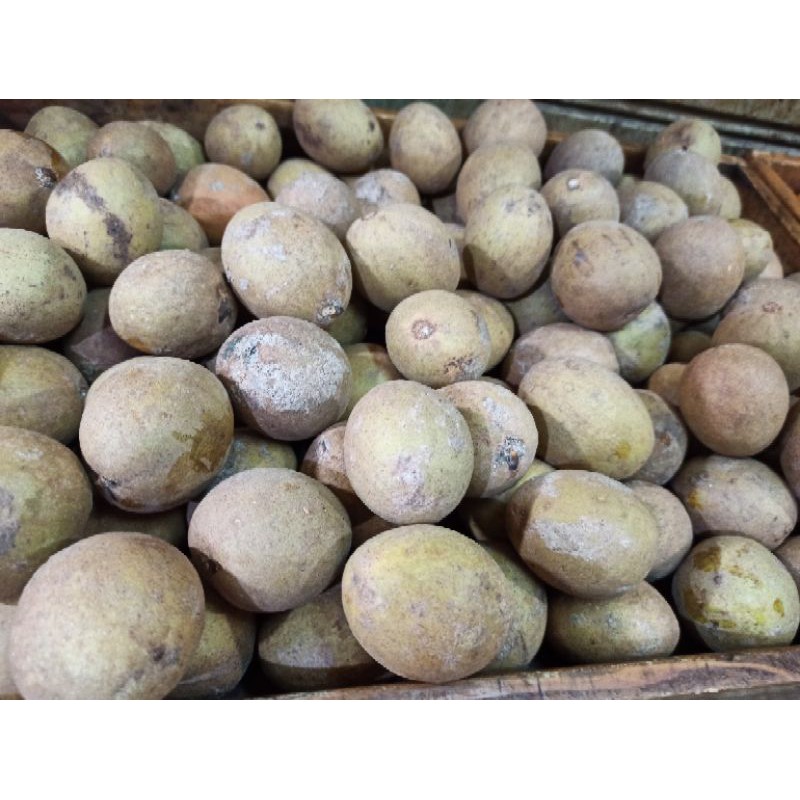 

SAWO SEGAR MANIS MATANG PER KILO