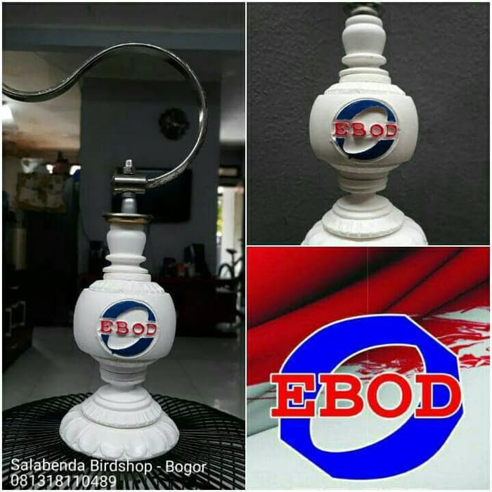 pion ebod lovebird  ER-1534