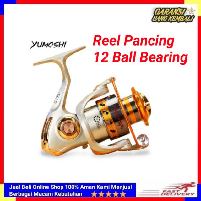 EF1000 Reel Pancing Spinning 12 Ball Bearing