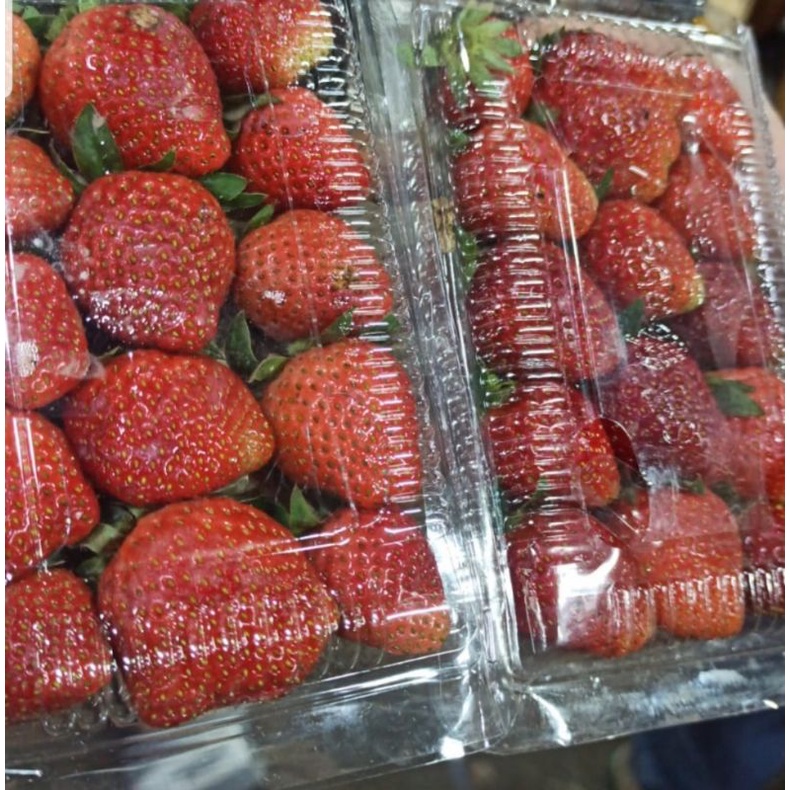 Strawberry Besar 1 Pack | naga_exspress