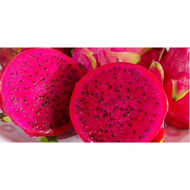 

Buah Naga Merah Fresh 25.000