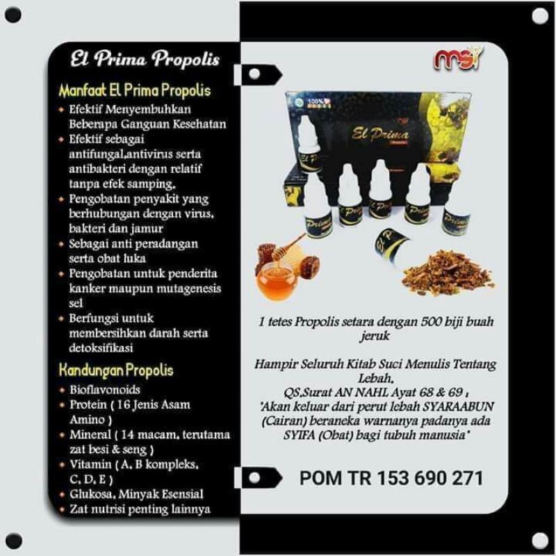 EL PRIMA PROPOLIS ORIGINAL MSI