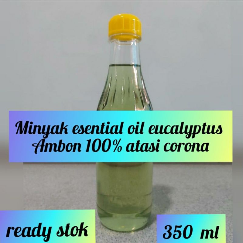 minyak kayu putih ambon 350ml eucalyptus atasi corona kesehatan badan esential oil 100%