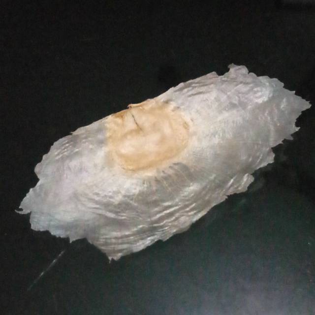 Benih pohon lanang ecoprint