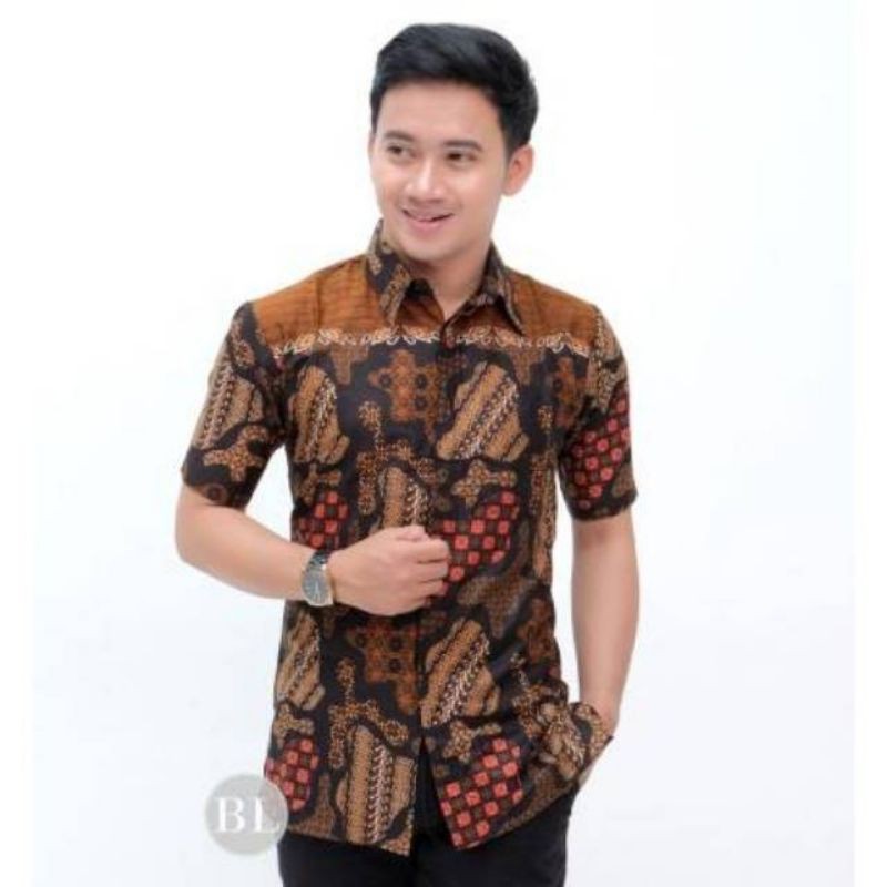 Kemeja Batik Pria Lengan Pendek Pulau