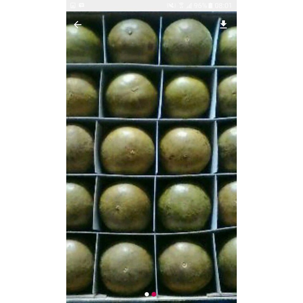 

Promo Lou han ko sedang harga per dus isi 20 pcs Berkualitas