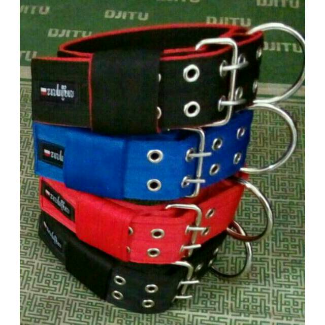 Strong DogCollar-Collaog Pitbull, Dogo, Rottweiler.