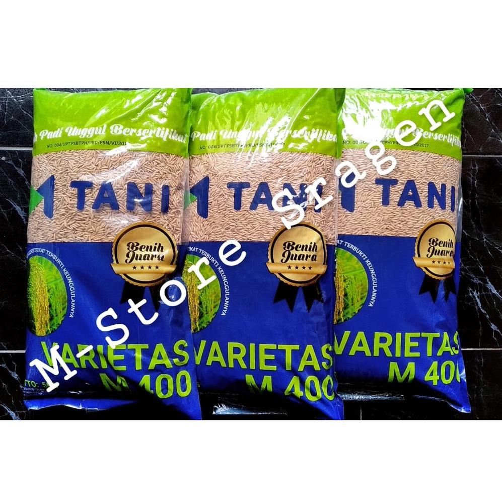 [KODE PRODUK 086QK6133] Benih M400 Premium (Padi unggul, malai panjang si Ekor Kuda)