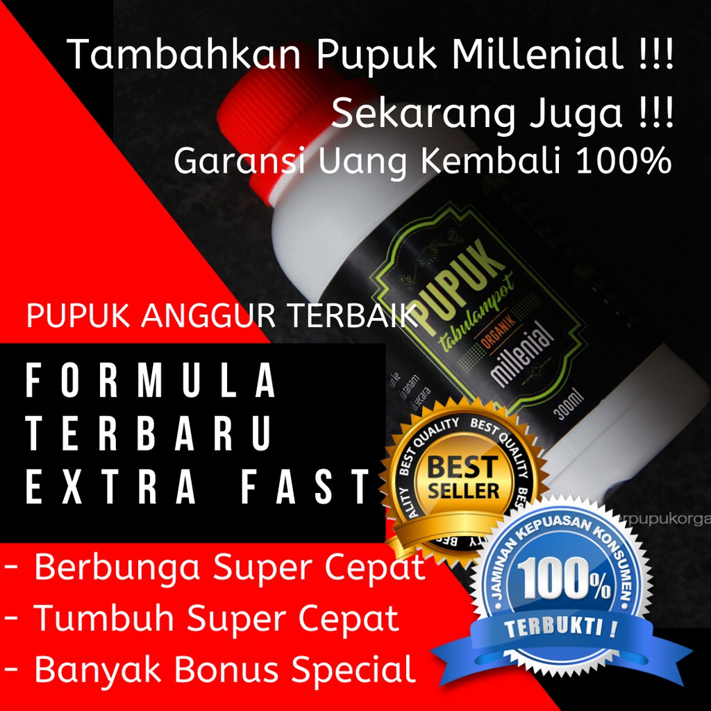 Pupuk Anggur Cepat Berbuah, Pupuk Anggur Dalam Pot, Pupuk Anggur Masa Vegetatif, Reaksi Tercepat 