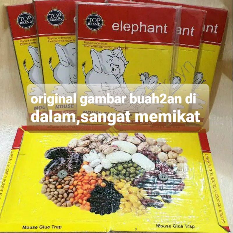 

lem tikus papan