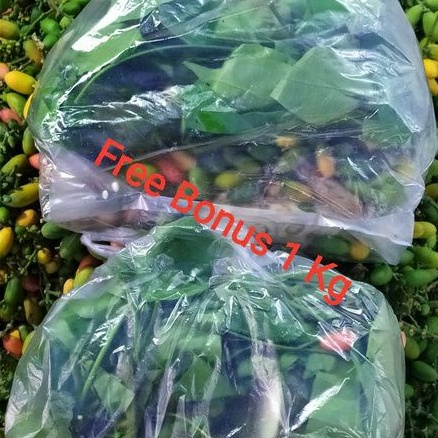

Sayur Asem | Paket Sayur Asem Per Pck + Gratis Bonus