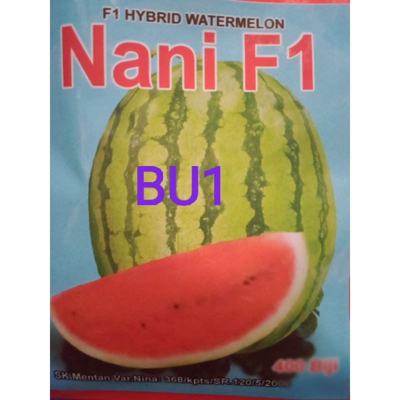 Benih Buah Semangka Merah Kuning Melon Pepaya California Timun Apel Suri Blewah Terong Belanda-BU1 Semangka Merah