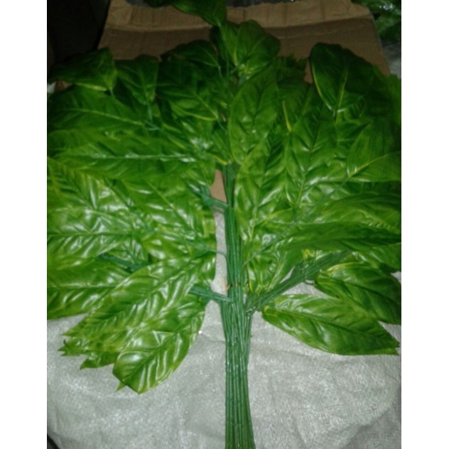 

Daun Palsu Mangga Muda