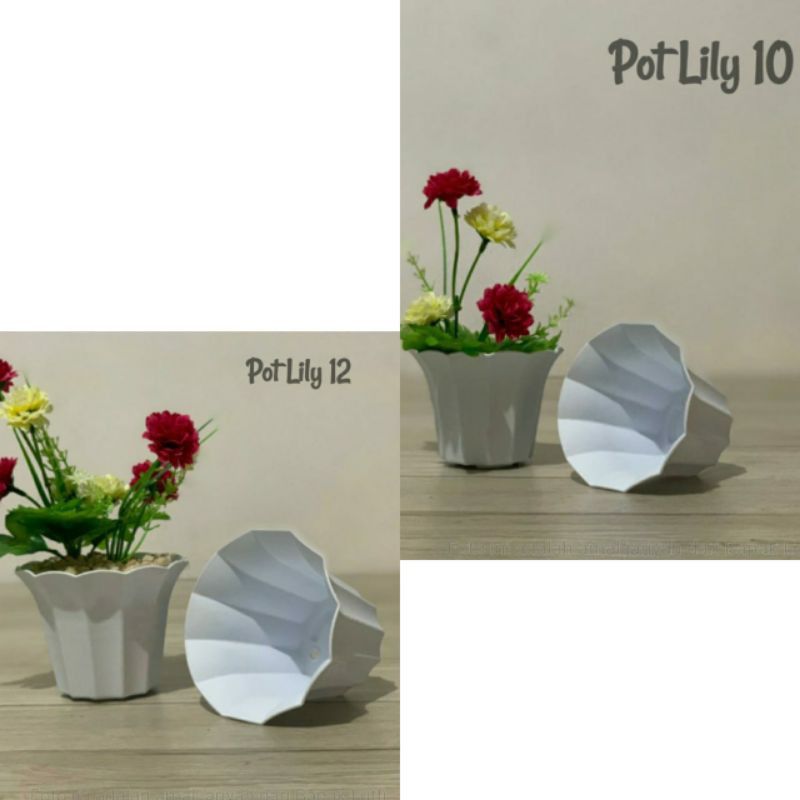 Pot Lily Putih Ori ERIKO 12cm