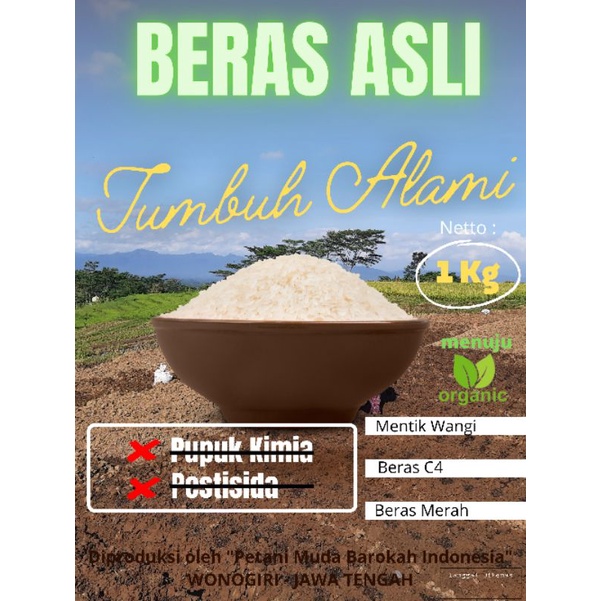 

Beras tumbuh alami Beras Mentik wangi pandan wangi beras sehat tanpa pupuk kimia dan pestida organik beras pulen