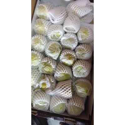 

Pear Xianglie