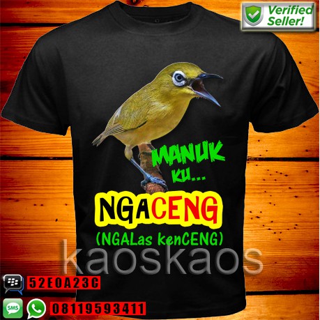 Gambar Burung Pleci Kartun Gambar Burung Pleci Kartun