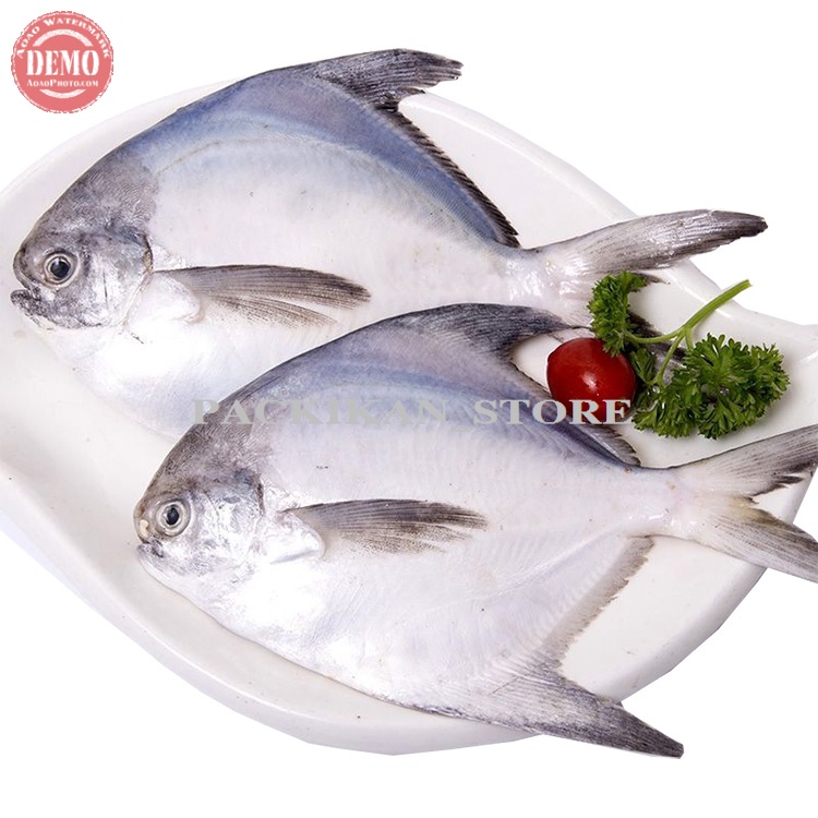 

Ikan Bawal Putih 5/10ekor Premium