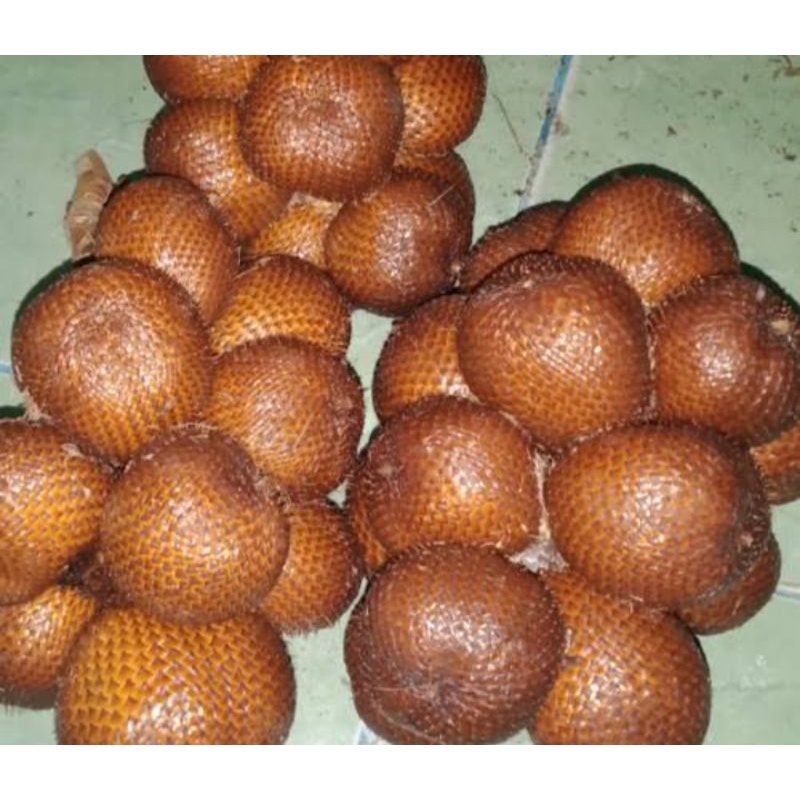 

Salak Gula Pasir 1 kilo
