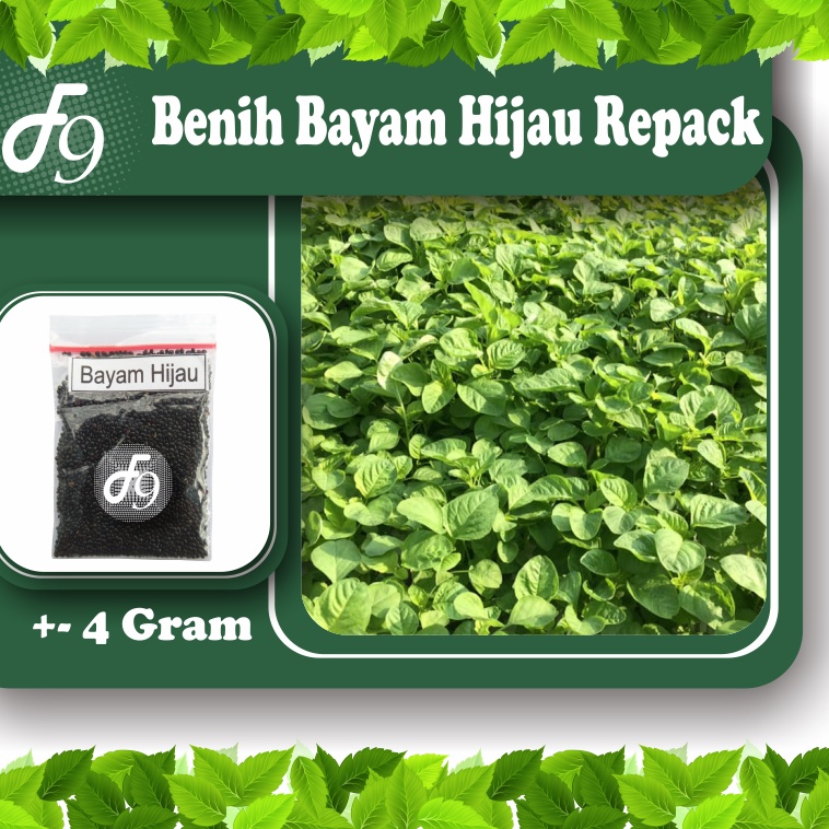 Benih Bayam Bibit Bayam Unggul Murah Repack Seribuan