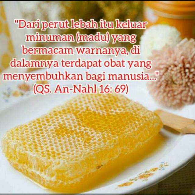 

Madu Sarang Lebah Asli