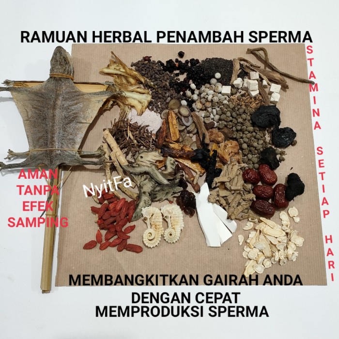 COD Herbal rendaman arak stamina pria / obat impotensi / Ramuan china - Masih Mentah
