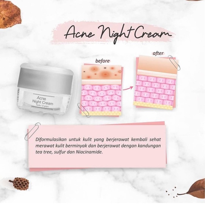 ds044ew Ms Glow Beauty Acne Night Cream Ms Glow Skincare Glowing Pemutih Wajah Zc2Z01X