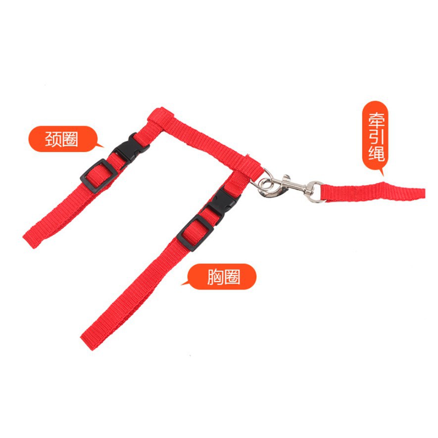 Adda Home - Tali Tuntun Kucing Harness 125cm