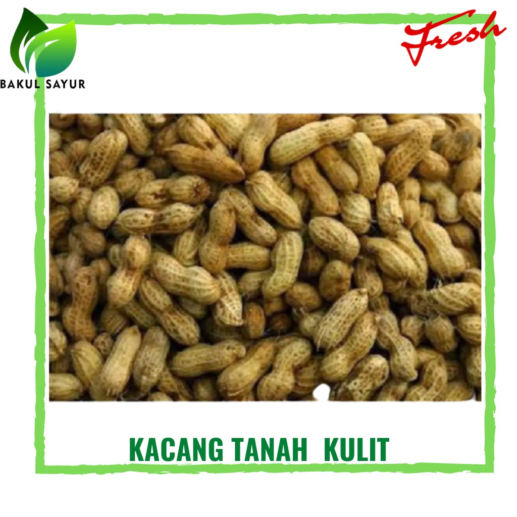 

KACANG TANAH KULIT MENTAH 500 - 1 KG - SAYUR SEGAR JAKARTA TIMUR