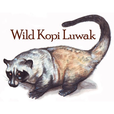 

vf2011vf Fresh Roast Kopi Luwak Gayo Vintage 120G Arabika Sangrai - Biji Ds20X11