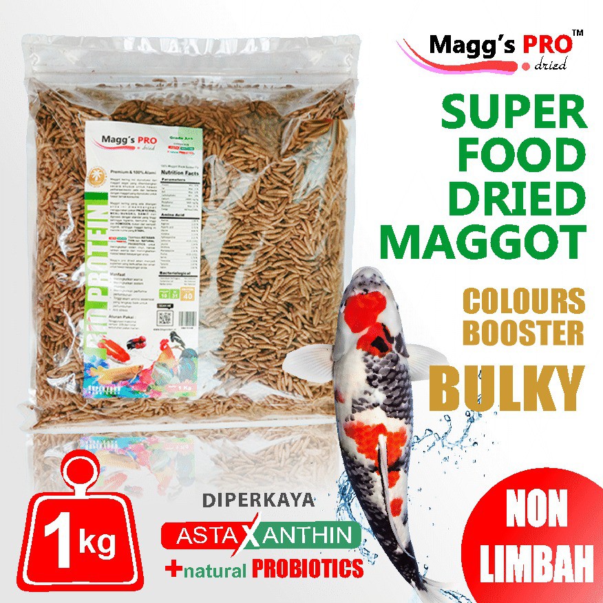 Maggot Kering Magg's Pro 1kg Pakan Suplemen Ikan Koi