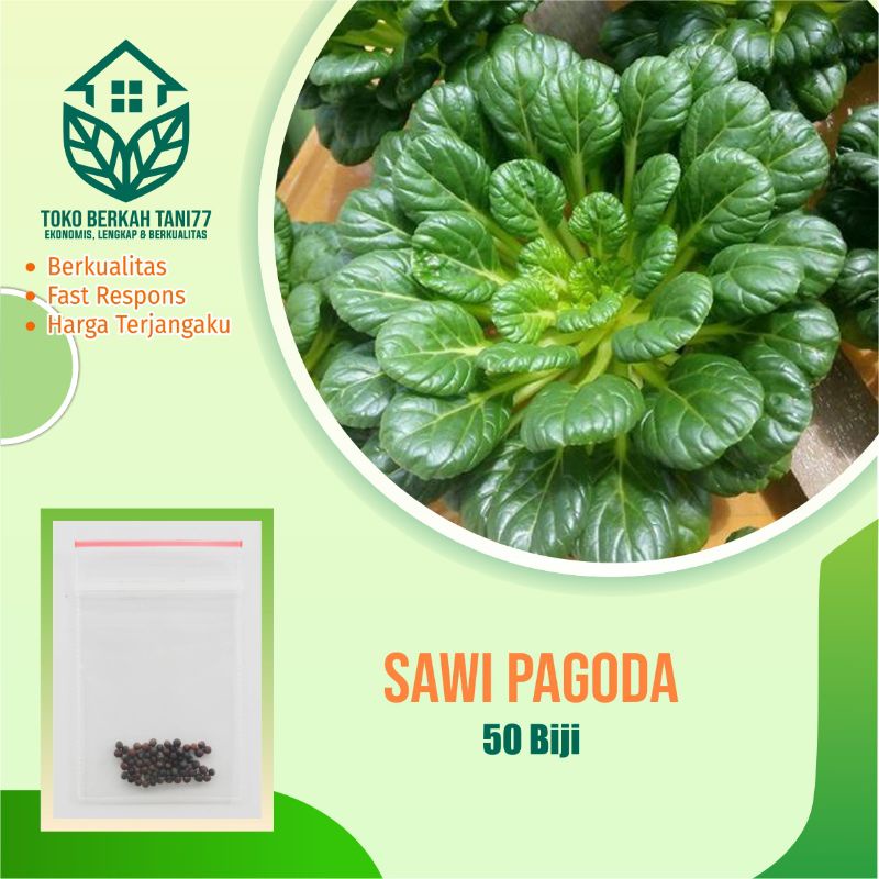 Benih Sayur Sawi Pagoda - Bibit Sayuran Berkualitas