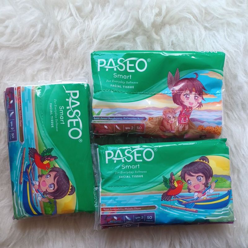 PASEO TRAVEL PACK
